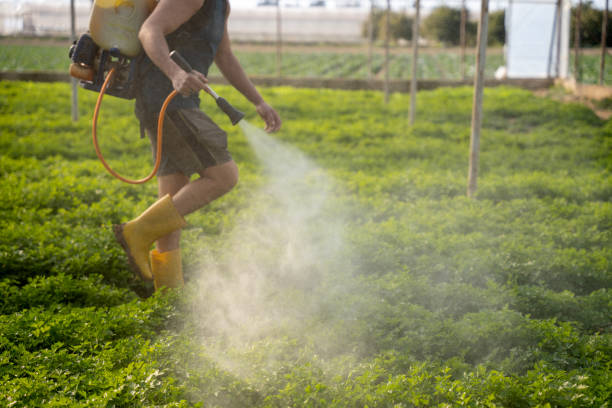 Best Best Pest Control Companies  in Clewiston, FL