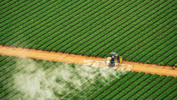 Pest Control Cost in Clewiston, FL