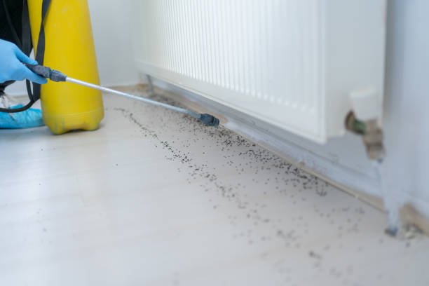 Best Cockroach Control Services  in Clewiston, FL