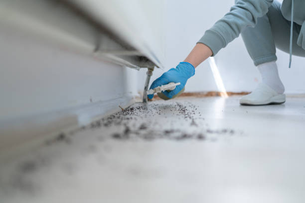 Best Commercial Pest Control Services  in Clewiston, FL